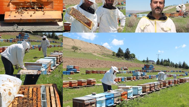 Arıcılar bahar mesaisine başladı