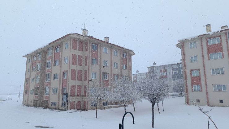 Bitlis’te kar yağışı 2 gündür hayatı olumsuz etkiliyor