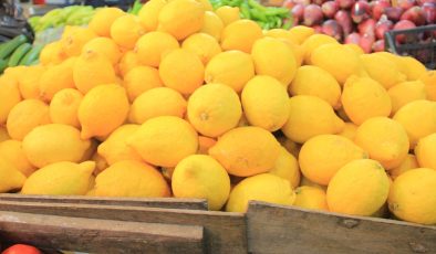 Limon ihracatı geçici olarak durdu