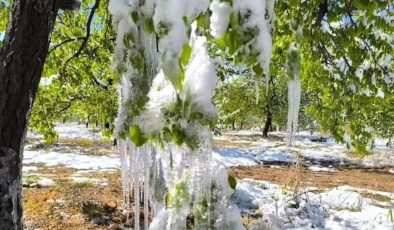 Meteoroloji’den çiftçilere önemli zirai don uyarısı