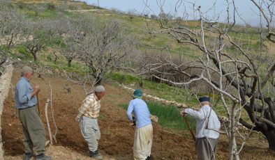 Ziraat Odası Başkanı Günbat: Nisan yağmurları bölgemiz için can suyu oldu