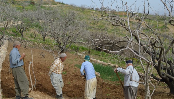 Ziraat Odası Başkanı Günbat: Nisan yağmurları bölgemiz için can suyu oldu