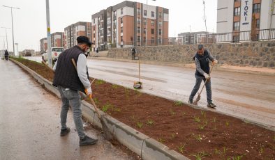 Oğlaklı TOKİ Konutlarında Hummalı Temizlik