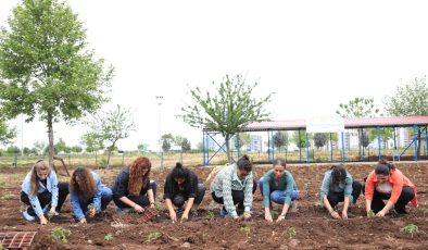 Kayapınar Belediyesi, Yerel Sebze Tohumları İçin Önemli Adım Attı