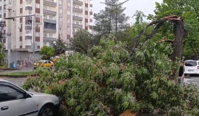 Doğu ve Güneydoğu için toz taşınımı ve fırtına uyarısı