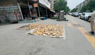 Diyarbakır Sokaklarında Bu Kadar Ekmek İsraf Edilir mi?