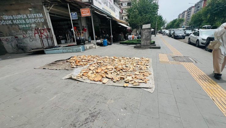 Diyarbakır Sokaklarında Bu Kadar Ekmek İsraf Edilir mi?