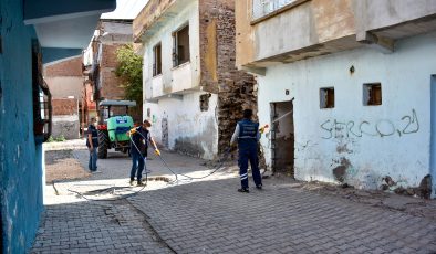 Sur’da metruk yapılar tek tek ilaçlandı