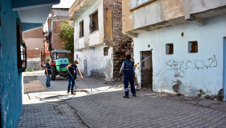 Sur’da metruk yapılar tek tek ilaçlandı