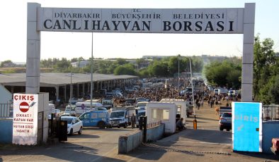 Kurbanlıklarda bu yıl fiyat aynı ama talep yok