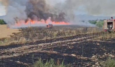 Malatya’da 41 noktada yangın çıktı