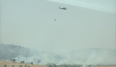 Mardin’deki orman yangını kontrol altına alındı