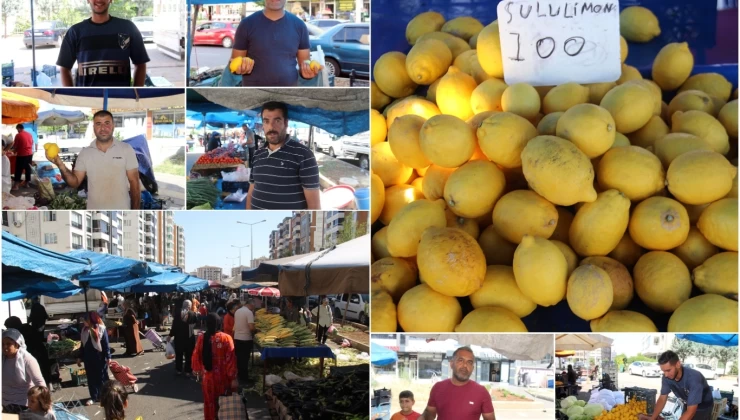 Diyarbakır’da limon fiyatları pazara giden vatandaşların cebini yakıyor!