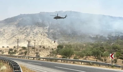 Son iki günde çıkan orman yangınlarından 8’i sürüyor