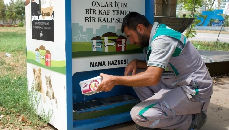 Kayapınar Belediyesi’nden Sokak Hayvanlarına Hayat Veren Dokunuş