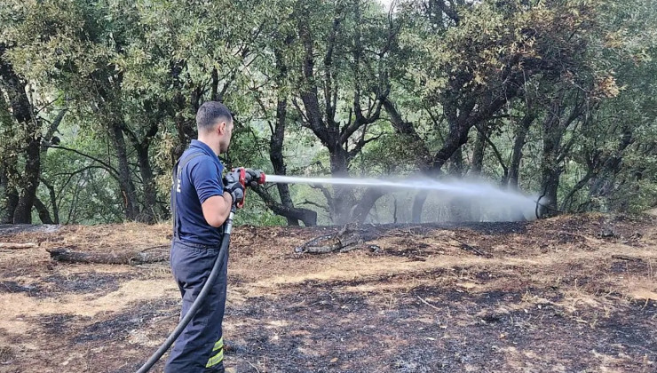 Siirt’te orman yangını: 30 hektarlık alan kül oldu