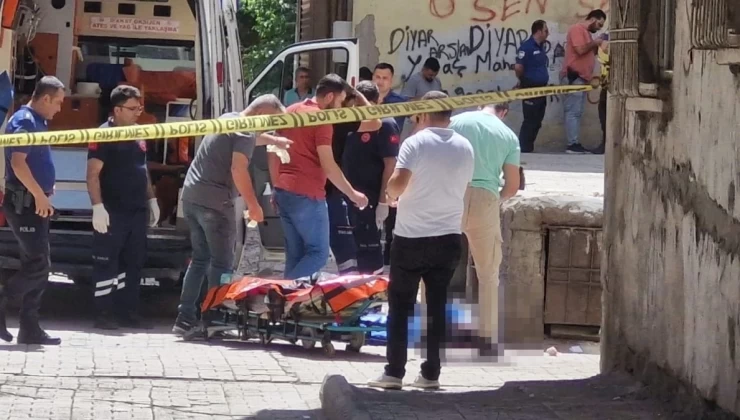 Diyarbakır’da 8 Ayda Kadın Cinayetleri ve Kavgalarda Can Kayıpları