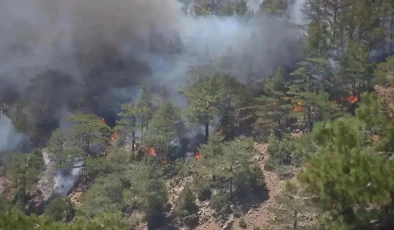 Hatay’da orman yangını: 2 mahalle tahliye edildi