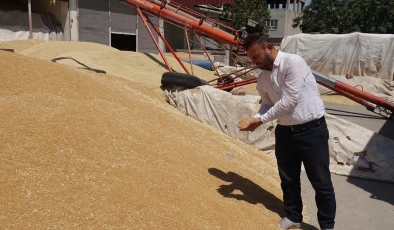 Hububat pazarı hareketli ama çiftçi girdi maliyetlerinden dertli