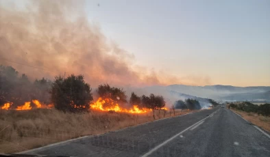 Diyarbakır’da Hani’de Başlayan Orman Yangını Lice ve Kocaköy’e Yayıldı