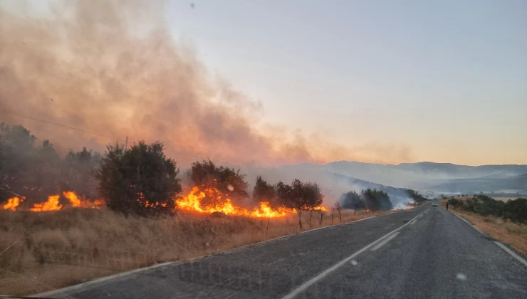 Diyarbakır’da Hani’de Başlayan Orman Yangını Lice ve Kocaköy’e Yayıldı