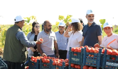 Eş Başkan Dündar’dan Domates Tarlasında Emekçilere Destek Ziyareti