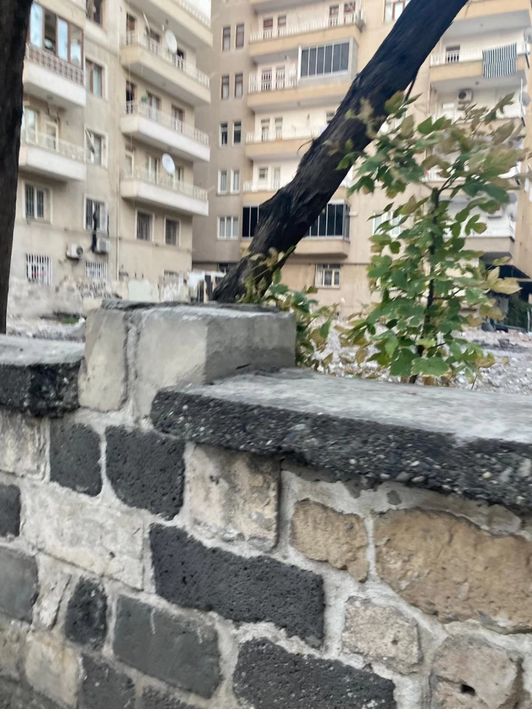 Diyarbakır'daki Eski Yeşil Camii Yıkıntıları Sağlık Tehlikesi Oluşturuyor