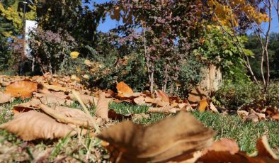 Ülke genelinde yağış beklenmiyor