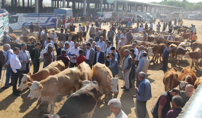 Aktif hale getirilen hayvan pazarı sayısı 38’e yükseldi