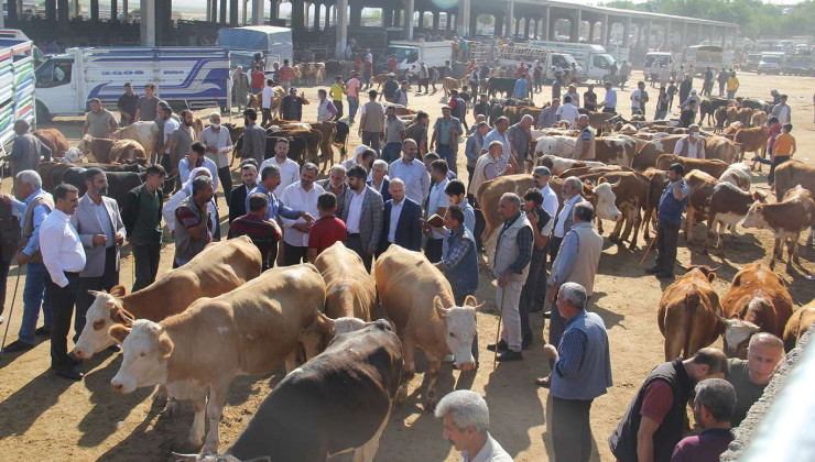 Aktif hale getirilen hayvan pazarı sayısı 38’e yükseldi