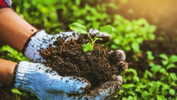 Bingöl’de “Organik Tarım” kursu başvuruları başladı