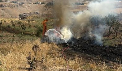 Havalimanı yakınlarında trafo yangını: Alevler fıstık ağaçlarına sıçradı