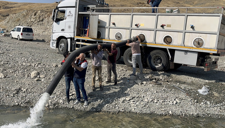 Malatya’da iç sulara 1 milyon 73 bin yavru sazan bırakıldı