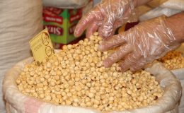 Zirai don fındığı vurdu, kilosu bin 200 TL’ye dayandı