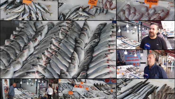 Balıkçılarda çeşit artınca vatandaşın talebi de arttı