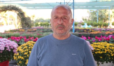Bitki sezonu başladı: Kasımpatılar tezgâhlarda