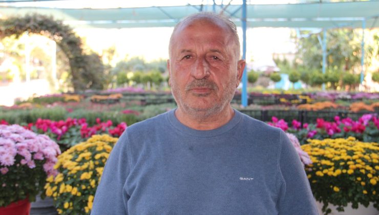 Bitki sezonu başladı: Kasımpatılar tezgâhlarda