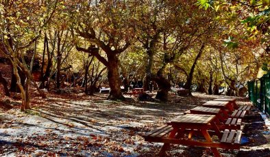 Batman’ın saklı cenneti kınalı mesire alanı, ziyaretçilerini ağırlamaya hazırlanıyor