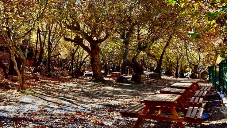 Batman’ın saklı cenneti kınalı mesire alanı, ziyaretçilerini ağırlamaya hazırlanıyor