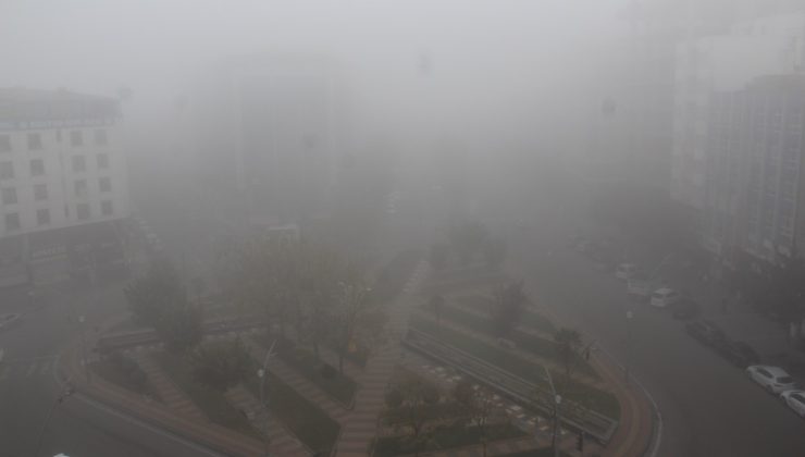 Sürüş eğitmenleri: Sisli havalarda acele etmeyin, mesafenizi koruyun