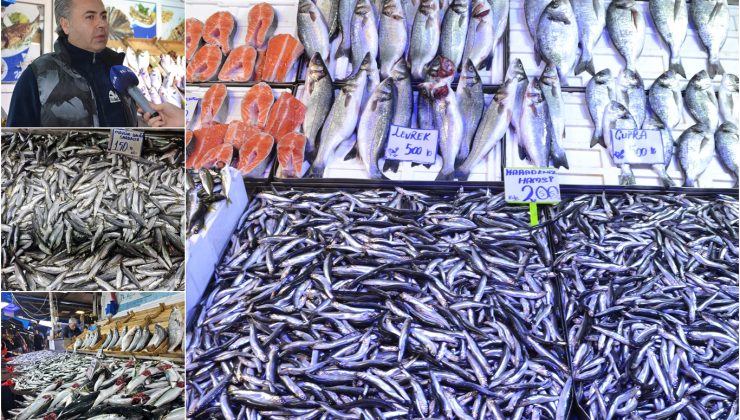 Soğuk havalar balık tezgahlarını canlandırdı