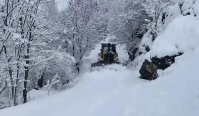 Şırnak’ta okullara kar tatili