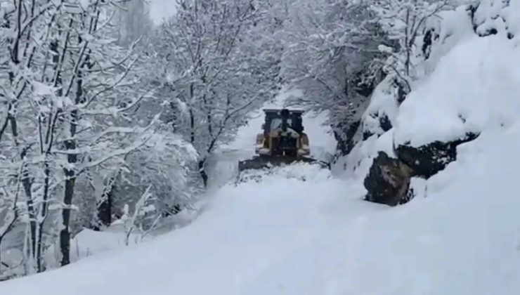 Şırnak’ta okullara kar tatili
