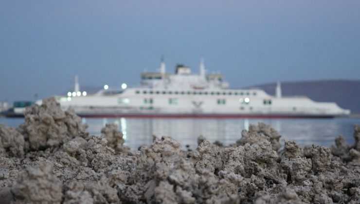 Van Gölü’nde sular çekildi, mikrobiyolitler ortaya çıktı