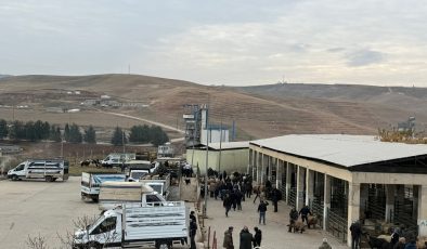 Siirt hayvan pazarı kapsamlı kontrollerin ardından yeniden açıldı