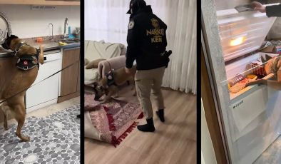 Şırnak’ta uyuşturucu satıcılarına şafak operasyonu: 20 gözaltı