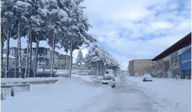 Bitlis’te hayat durdu, kırsal alanlarla iletişim kesildi
