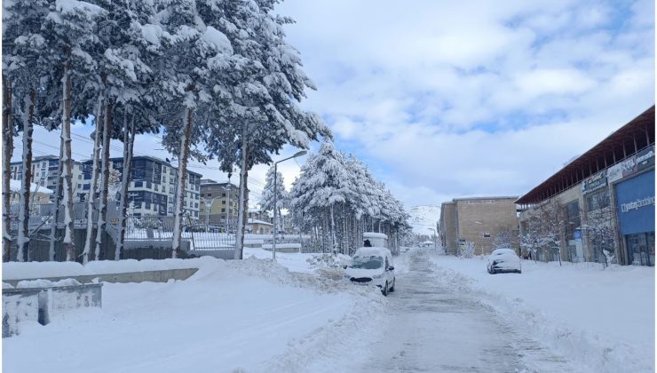 Bitlis’te hayat durdu, kırsal alanlarla iletişim kesildi
