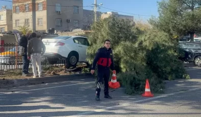 Diyarbakır–Elazığ Kara Yolunda Feci Kaza: 3 Yaralı, 1’inin Durumu Ağır