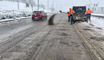 Diyarbakır’da Kar ve Buzla Mücadele